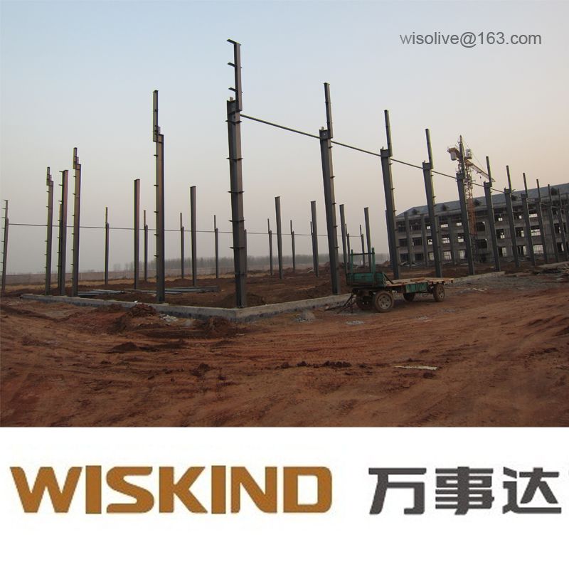 steel structure workshop/warehouse/factory
