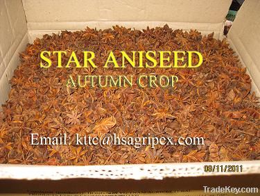 offer star aniseed autumn crop good quality