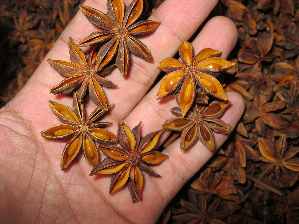 star aniseed and cassia