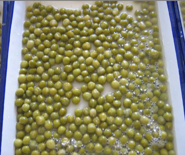 Canned Green Pea