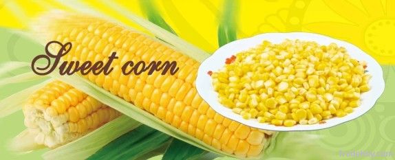 Canned Sweet Corn