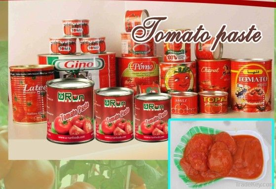 canned tomato paste