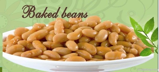 Canned Baked Beans In Tomato Sauce