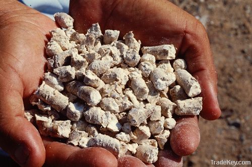 Processed Cassava Pellets