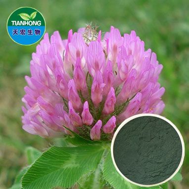 Red Clover Extract