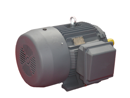 Low voltage three phase induction motor