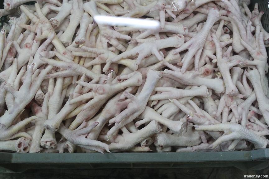  Export Chicken Paw | Chicken Feet Suppliers | Poultry Feet Exporters | Chicken Feets Traders | Processed Chicken Paw Buyers | Frozen Poultry Paw Wholesalers | Low Price Freeze Chicken Paw | Best Buy Chicken Paw | Buy Chicken Paw | Import Chicken Paw | Ch