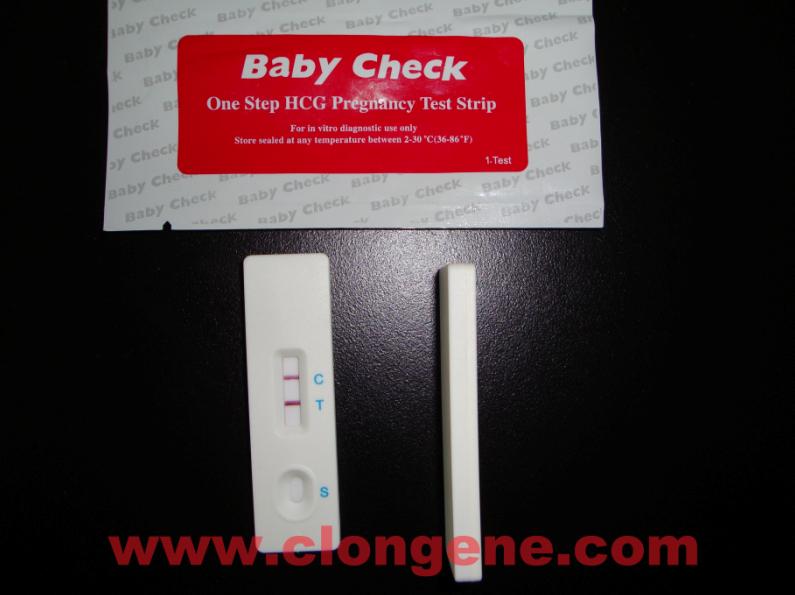 HCG  Pregnancy Urine Test Kits
