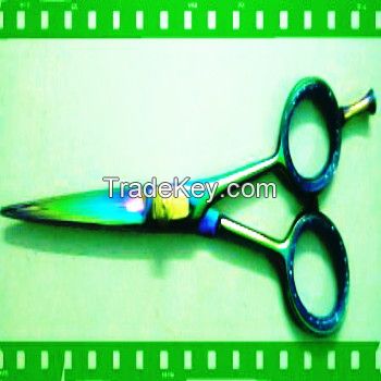 Hair Scissors