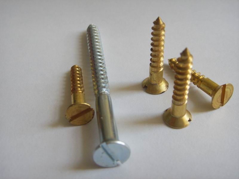 Slotted countersunk head wood screw