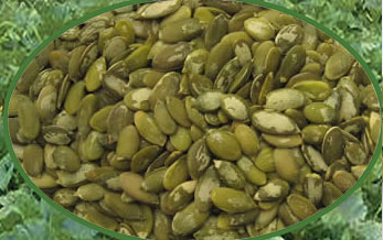 sell pumpkin seed kernels