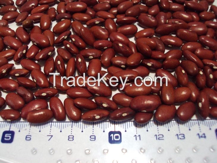 Kidney beans from Argentina