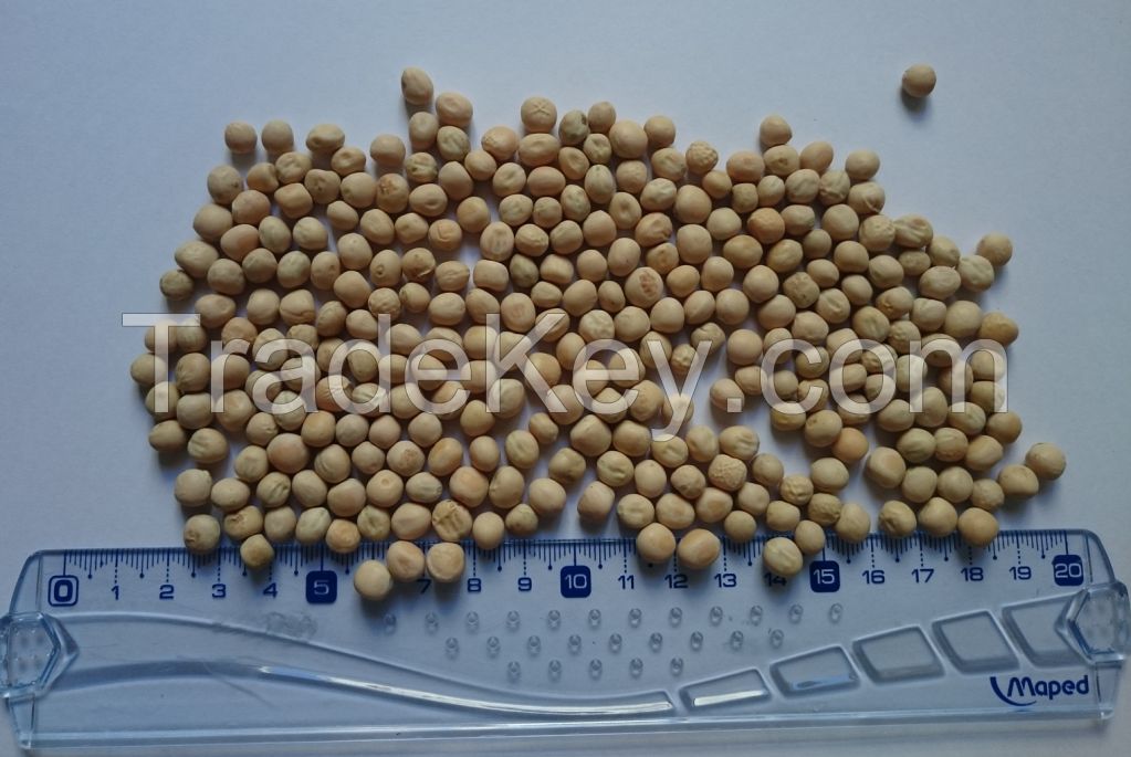 Peas and chickpeas from Argentina