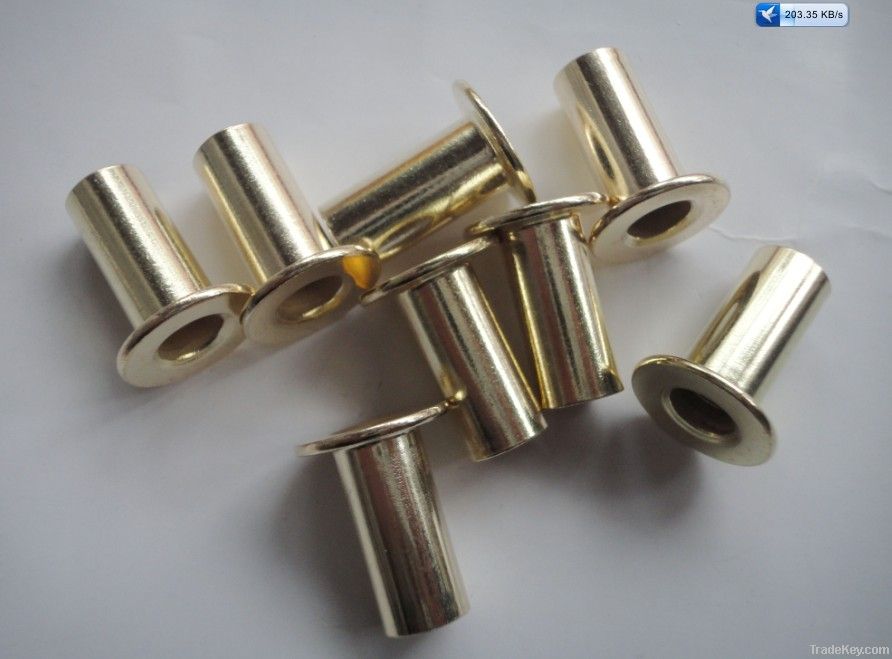 brake lining rivets for SINOTRUK(10*22mm)