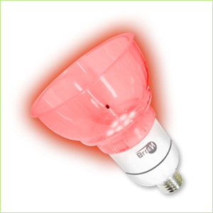 Forest Anion LED Health Lamp