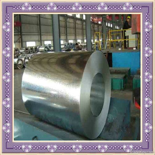 cold rolled steel coils