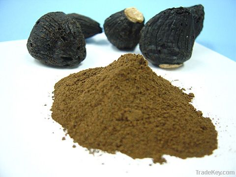 100% Black garlic powder (120 mesh)