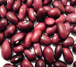 Chinese red kidney beans Japanese type 2010 crop