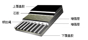 Steel cord conveyor belt