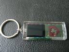 Waterproof Solar Keychain(continually flash half of the screen)