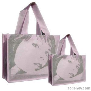 Non Woven Shopping Bag