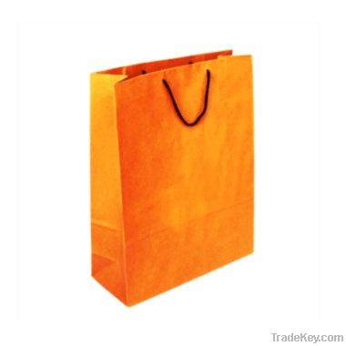 Paper Shopping Bags