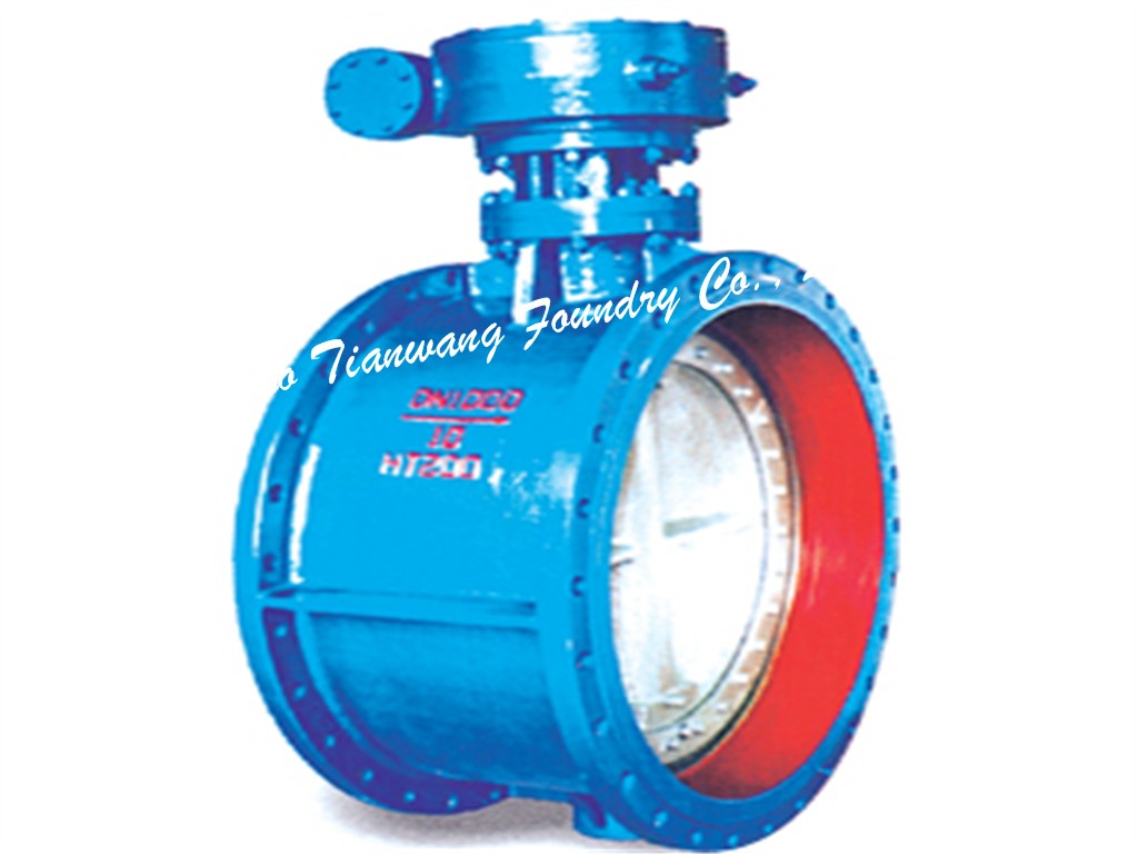 Butterfly valve 001