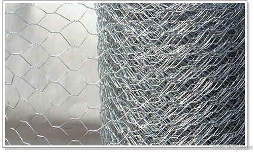 Hexagonal Wire Mesh