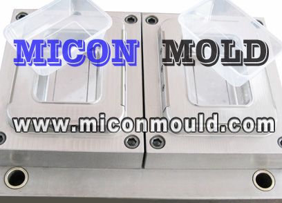 food box mould, lunch box mould