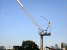 Luffing tower crane