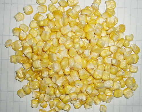 freeze dried sweet corn