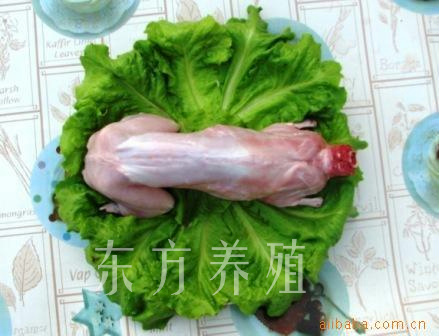 whole frozen rabbit