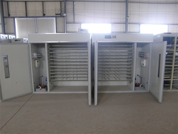 poultry incubator