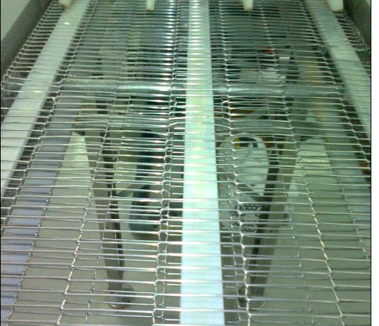 Conveyor mesh Belts