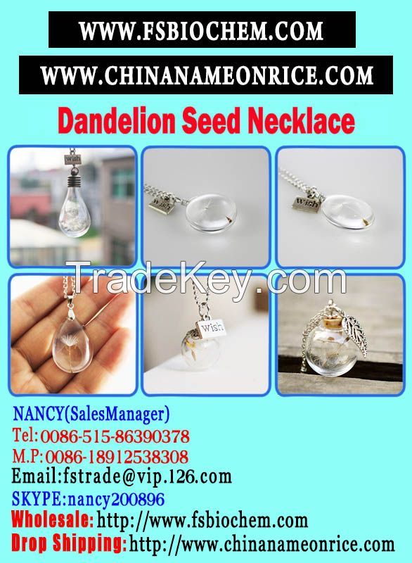 Dandelion seeds jewelry