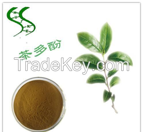 Green Tea Extract 50%