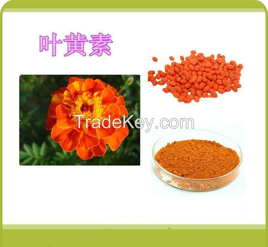 Lutein Powder