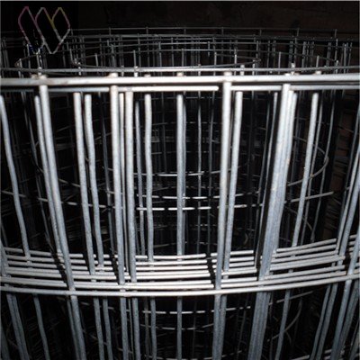 galvanized welded wire mesh