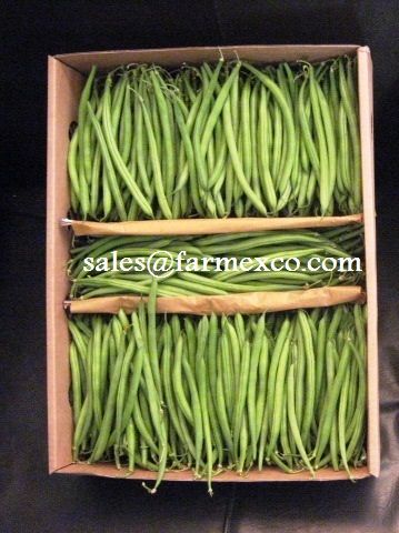 Fresh Fine green beans