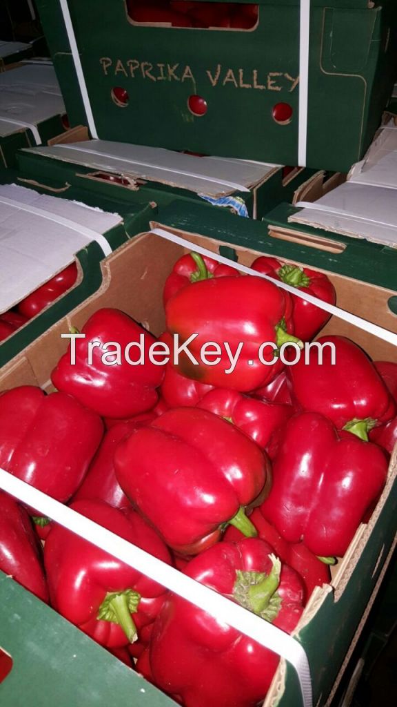 Fresh Capsicum