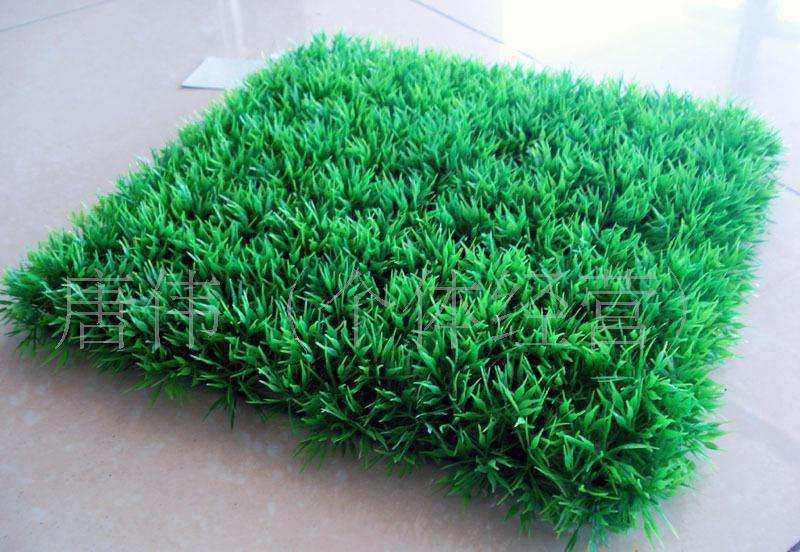 PP Plastic interlocking event floor lawn protection, competitive price lawn field temporary protection carpet mat