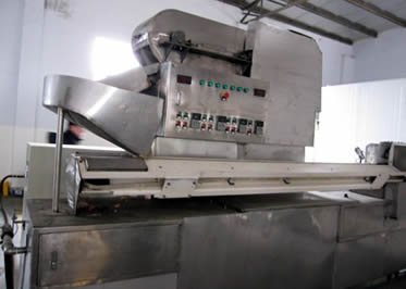 Automatic Onion Peeling Machine