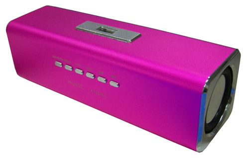 Portable speaker with USB/SD/FM