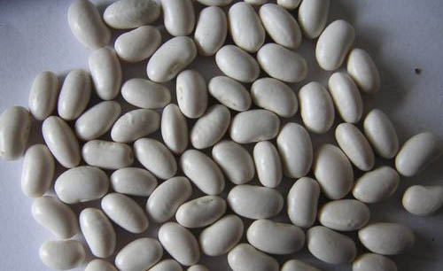 white speckled kidney beans