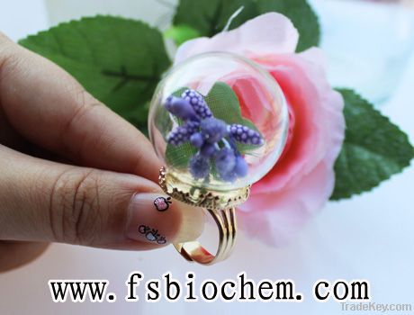 Empty Containers, Glass ball rings, glass globe rings, glass globe bottle