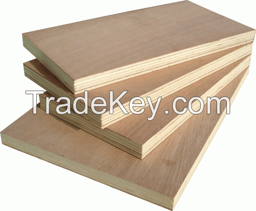 Commercial Plywood/Okoume Plywood/Bintangor Plywood