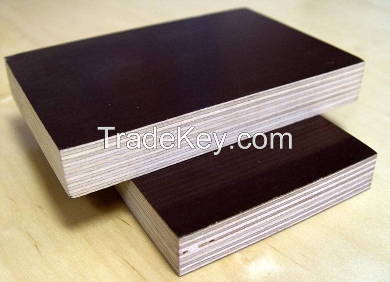 Black Film Face Plywood/Brown Film Face Plywood