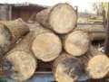 oak logs