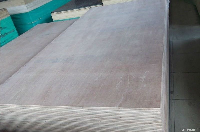 Hot sale poplar plywood board from real manufacture