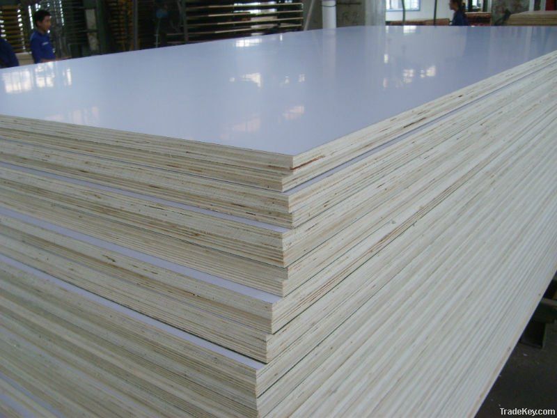 Hot sale poplar plywood board from real manufacture